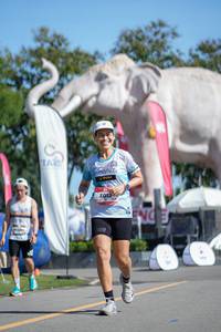 BIB: 
                            <button type="button" onclick="openModal(26544475)" class="btn btn-primary btn-sm float-right btn-popup" data-toggle="modal" data-target=".modal-high-quality">
                        <i class="fas fa-shopping-cart"></i> Add to Cart
                    </button>
                                            <button type="button" onclick="isThisMe(26544475, true)" class="btn btn-success btn-sm float-right btn-popup btn-isme hidden" data-toggle="tooltip" data-placement="bottom" title="นี่คือรูปของคุณใช่ไหม คลิกที่นี่เพื่อเอาเข้าอัลบั้ม">
                        <i class="fas fa-plus"></i> Add to album
                    </button>
                    <button type="button" onclick="isThisMe(26544475, false)" class="btn btn-warning btn-sm float-right btn-popup btn-isnotme hidden">
                        <i class="fas fa-ban"></i> Remove from album
                    </button>